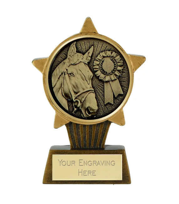 Mini Star Plus Large Star Equestrian Horse Rosette Trophy 