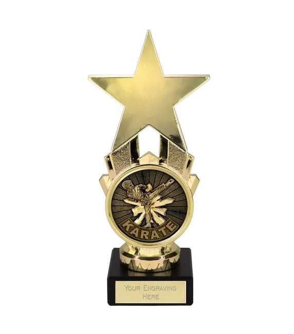 Martial Arts Karate Award Star