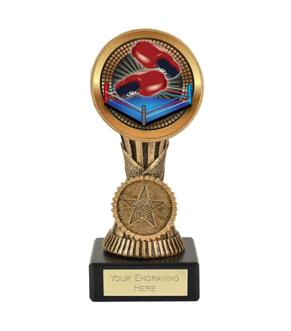 FT187M-V009B - Boxing Orb Centre Holder Award (13cm)