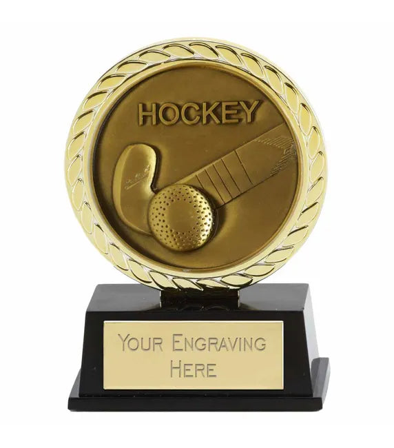 Vibe Mini Hockey Award