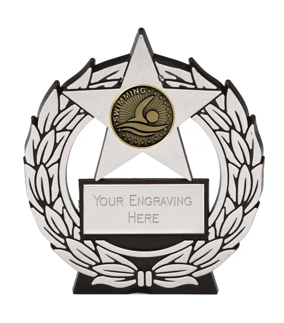 Silver Swimming Star Plaque Award
