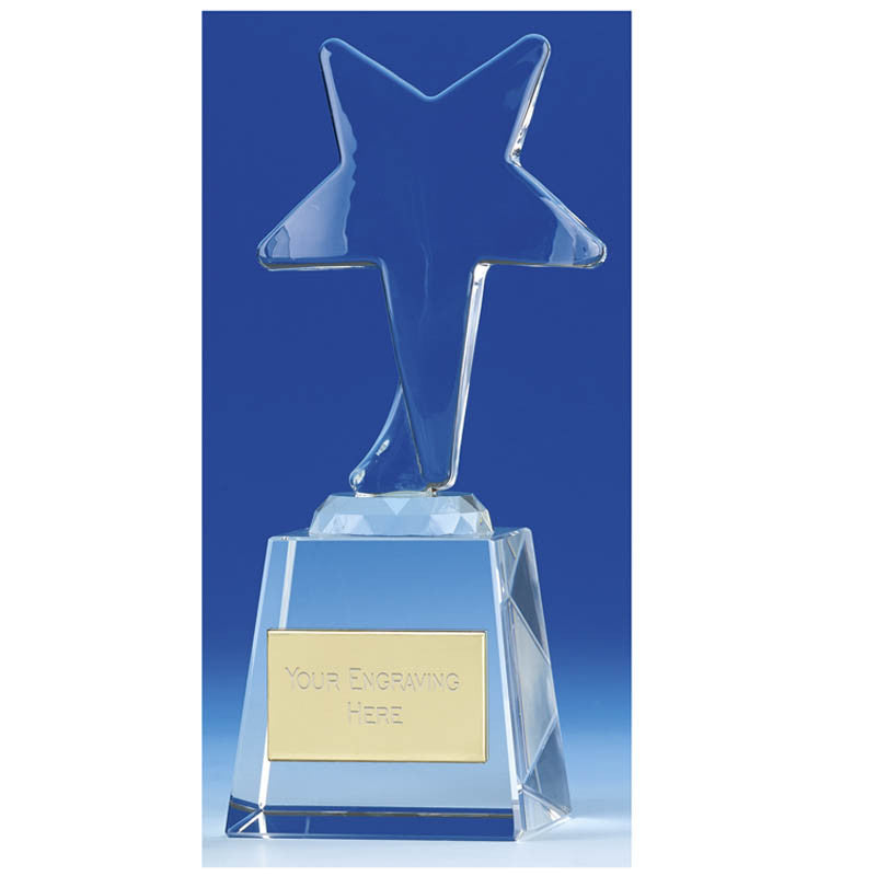 Ice Star Crystal Glass Award 