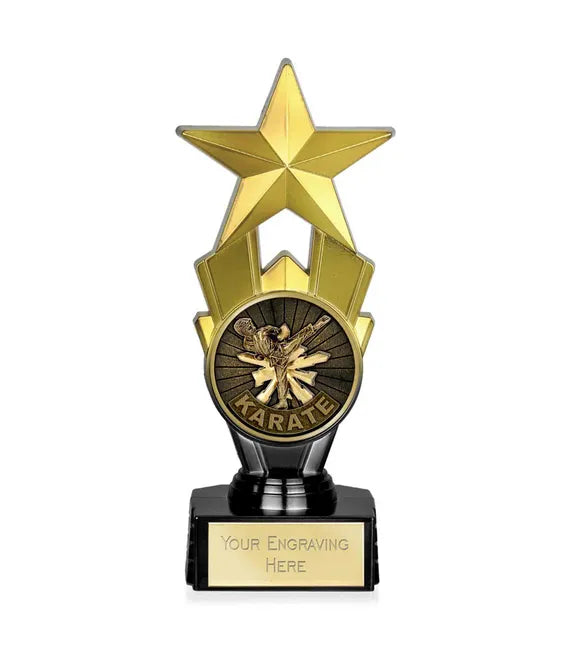 R910A.80-V311B - Martial Arts Karate Award Star (18cm)