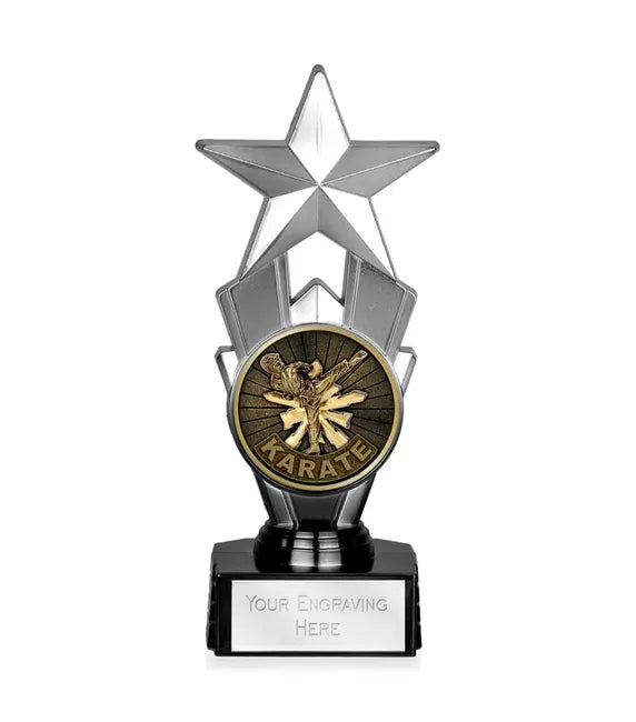 R910A.81-V311B - Martial Arts Karate Award Star (18cm)