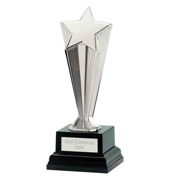 C51X-02 - Recognition Silver Star (16.5cm)